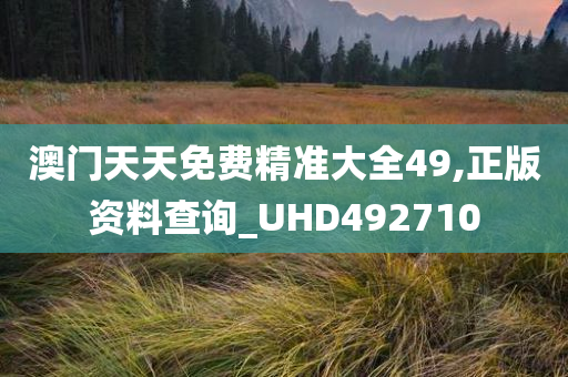 澳门天天免费精准大全49,正版资料查询_UHD492710