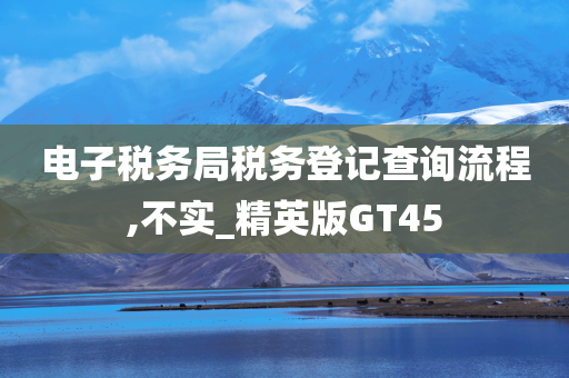 电子税务局税务登记查询流程,不实_精英版GT45