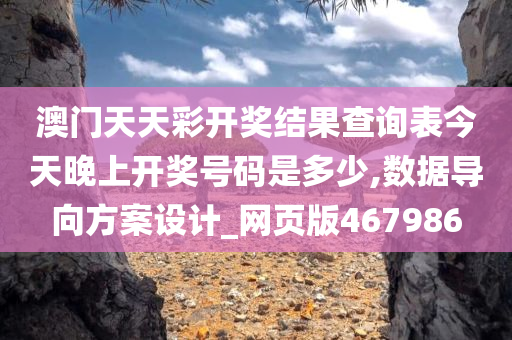 澳门天天彩开奖结果查询表今天晚上开奖号码是多少,数据导向方案设计_网页版467986