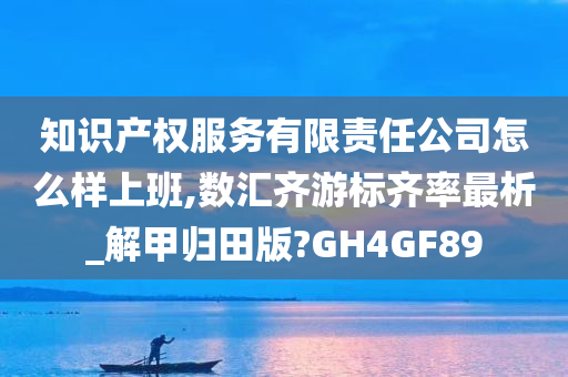 知识产权服务有限责任公司怎么样上班,数汇齐游标齐率最析_解甲归田版?GH4GF89