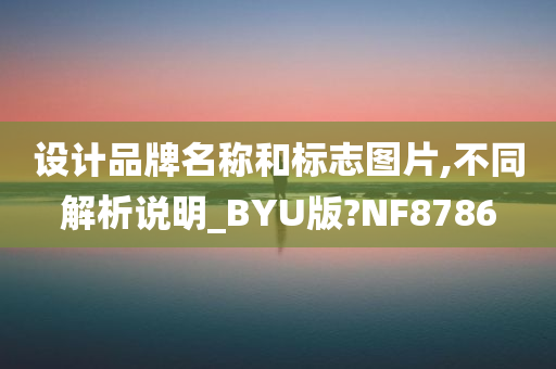 设计品牌名称和标志图片,不同解析说明_BYU版?NF8786