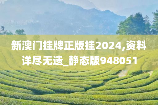 新澳门挂牌正版挂2024,资料详尽无遗_静态版948051