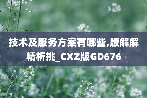 技术及服务方案有哪些,版解解精析挑_CXZ版GD676