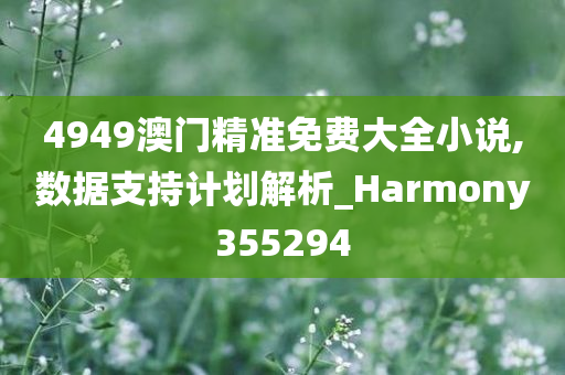 4949澳门精准免费大全小说,数据支持计划解析_Harmony355294