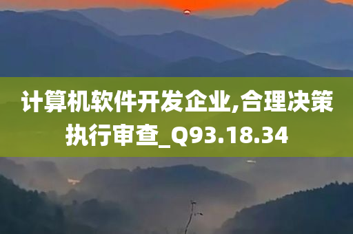 计算机软件开发企业,合理决策执行审查_Q93.18.34