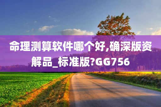 命理测算软件哪个好,确深版资解品_标准版?GG756