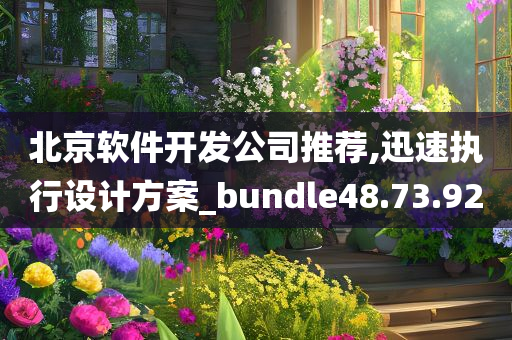 北京软件开发公司推荐,迅速执行设计方案_bundle48.73.92