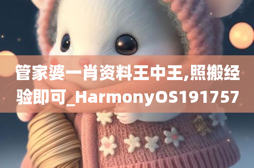 管家婆一肖资料王中王,照搬经验即可_HarmonyOS191757