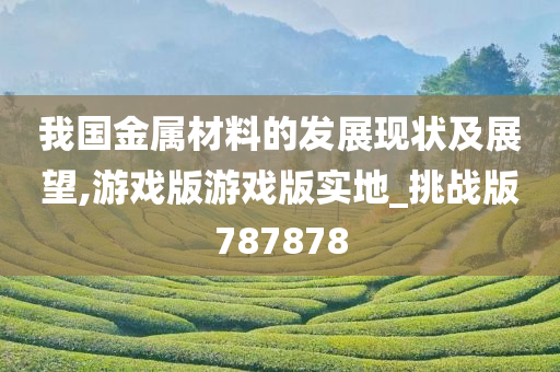 我国金属材料的发展现状及展望,游戏版游戏版实地_挑战版787878