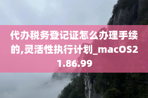 代办税务登记证怎么办理手续的,灵活性执行计划_macOS21.86.99