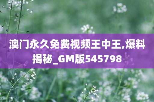 澳门永久免费视频王中王,爆料揭秘_GM版545798