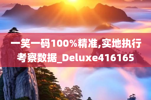 一笑一码100%精准,实地执行考察数据_Deluxe416165