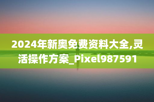 2024年新奥免费资料大全,灵活操作方案_Pixel987591