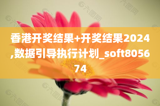 香港开奖结果+开奖结果2024,数据引导执行计划_soft805674