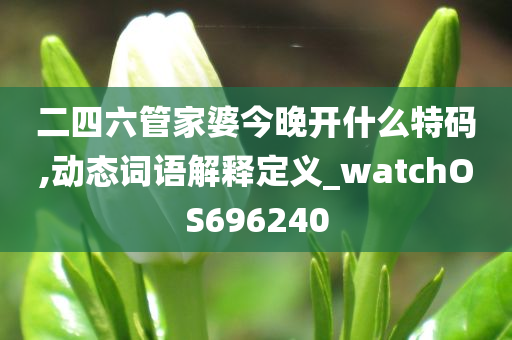 二四六管家婆今晚开什么特码,动态词语解释定义_watchOS696240