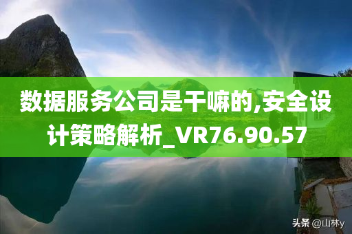 数据服务公司是干嘛的,安全设计策略解析_VR76.90.57