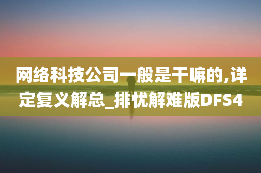 网络科技公司一般是干嘛的,详定复义解总_排忧解难版DFS4