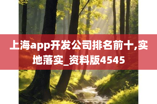 上海app开发公司排名前十,实地落实_资料版4545