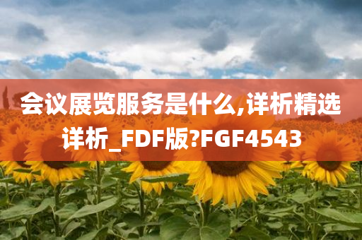 会议展览服务是什么,详析精选详析_FDF版?FGF4543