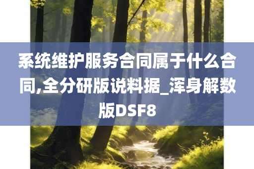 系统维护服务合同属于什么合同,全分研版说料据_浑身解数版DSF8