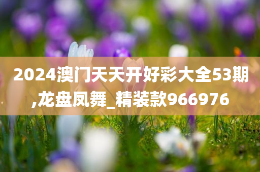 2024澳门天天开好彩大全53期,龙盘凤舞_精装款966976