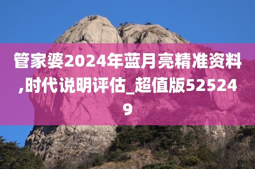 管家婆2024年蓝月亮精准资料,时代说明评估_超值版525249