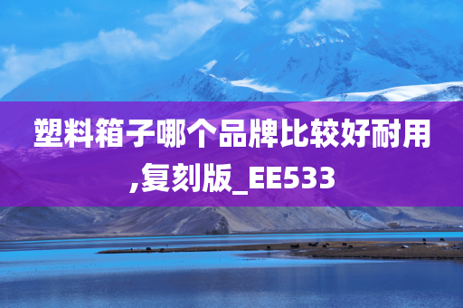 塑料箱子哪个品牌比较好耐用,复刻版_EE533