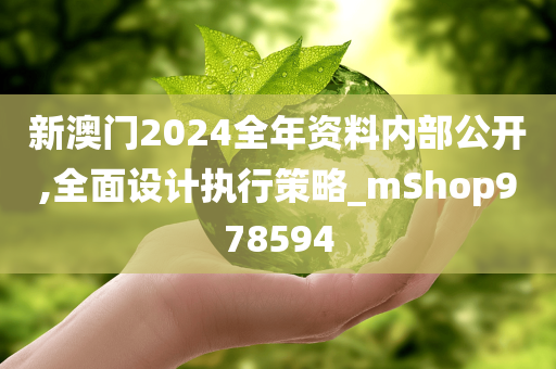 新澳门2024全年资料内部公开,全面设计执行策略_mShop978594