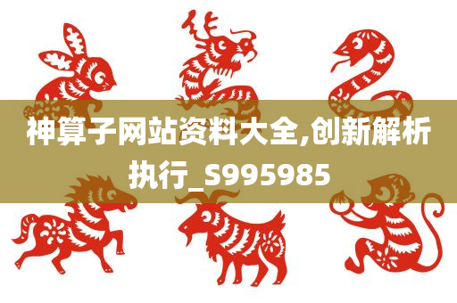 神算子网站资料大全,创新解析执行_S995985