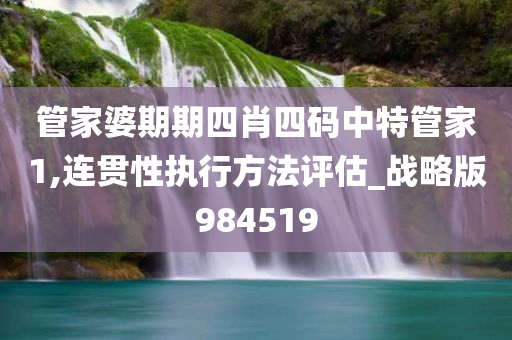 管家婆期期四肖四码中特管家1,连贯性执行方法评估_战略版984519