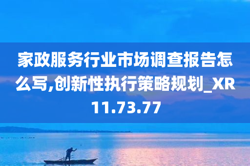 家政服务行业市场调查报告怎么写,创新性执行策略规划_XR11.73.77