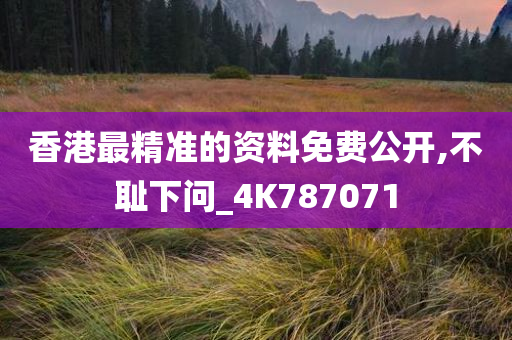 香港最精准的资料免费公开,不耻下问_4K787071