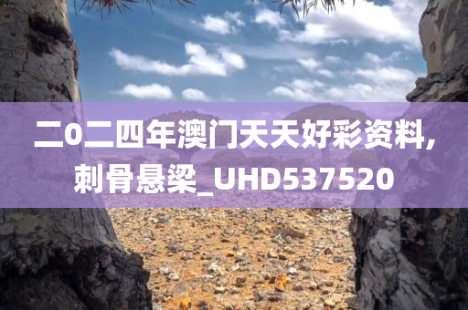 二0二四年澳门天天好彩资料,刺骨悬梁_UHD537520