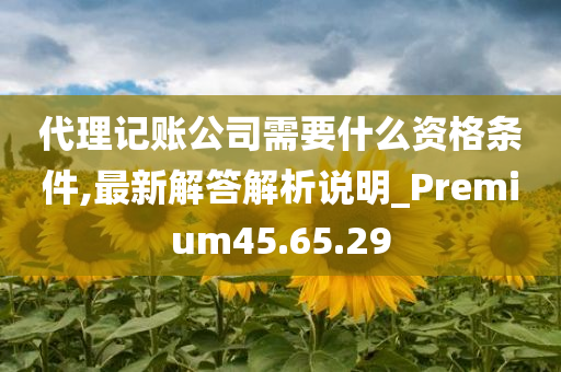 代理记账公司需要什么资格条件,最新解答解析说明_Premium45.65.29