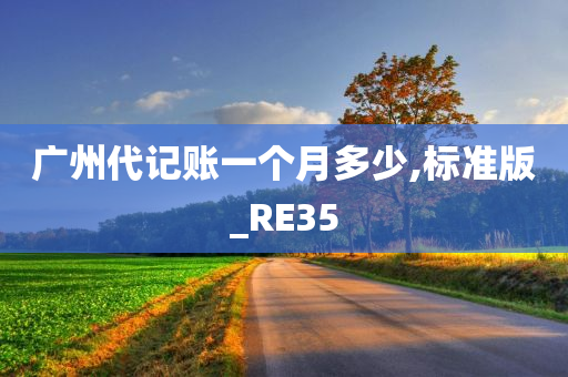 广州代记账一个月多少,标准版_RE35