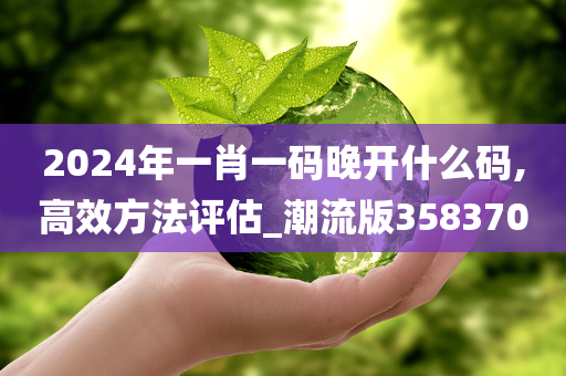 2024年一肖一码晚开什么码,高效方法评估_潮流版358370