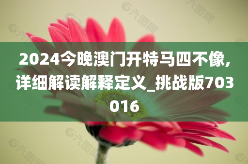 2024今晚澳门开特马四不像,详细解读解释定义_挑战版703016