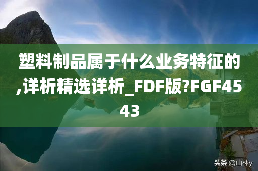 塑料制品属于什么业务特征的,详析精选详析_FDF版?FGF4543