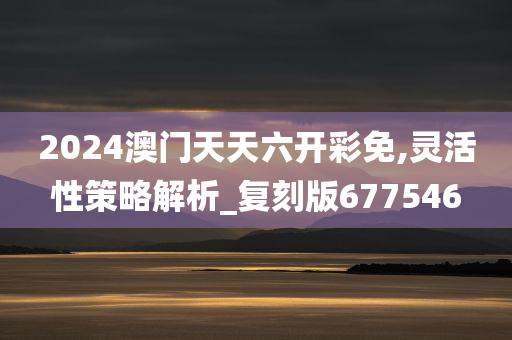 2024澳门天天六开彩免,灵活性策略解析_复刻版677546