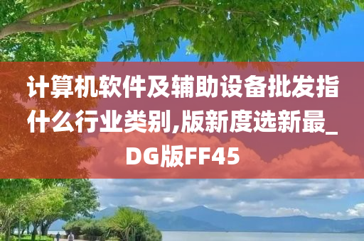 计算机软件及辅助设备批发指什么行业类别,版新度选新最_DG版FF45