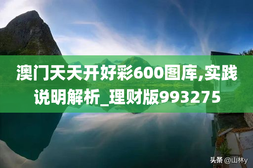 澳门天天开好彩600图库,实践说明解析_理财版993275