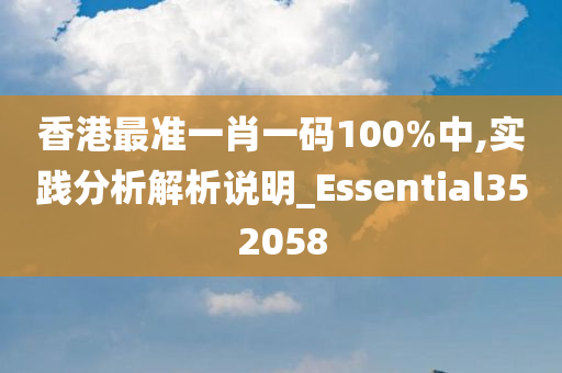 香港最准一肖一码100%中,实践分析解析说明_Essential352058