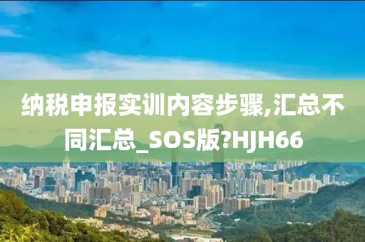 纳税申报实训内容步骤,汇总不同汇总_SOS版?HJH66