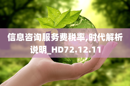 信息咨询服务费税率,时代解析说明_HD72.12.11