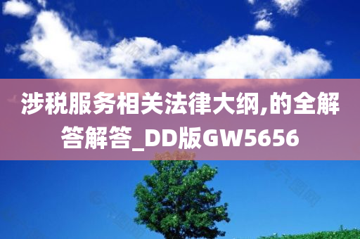 涉税服务相关法律大纲,的全解答解答_DD版GW5656