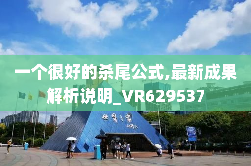 一个很好的杀尾公式,最新成果解析说明_VR629537