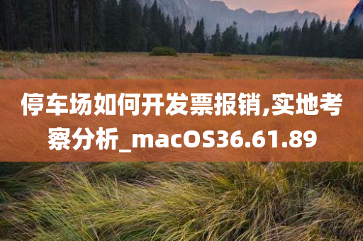 停车场如何开发票报销,实地考察分析_macOS36.61.89