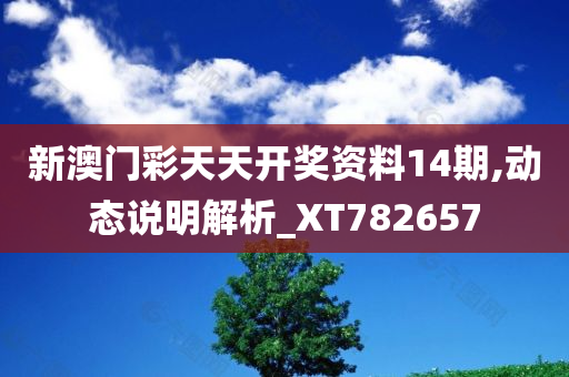 新澳门彩天天开奖资料14期,动态说明解析_XT782657