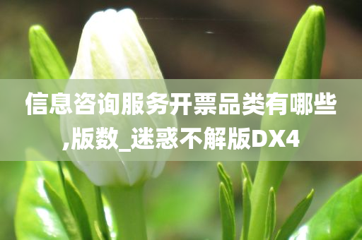 信息咨询服务开票品类有哪些,版数_迷惑不解版DX4