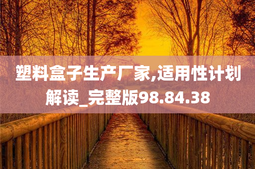 塑料盒子生产厂家,适用性计划解读_完整版98.84.38